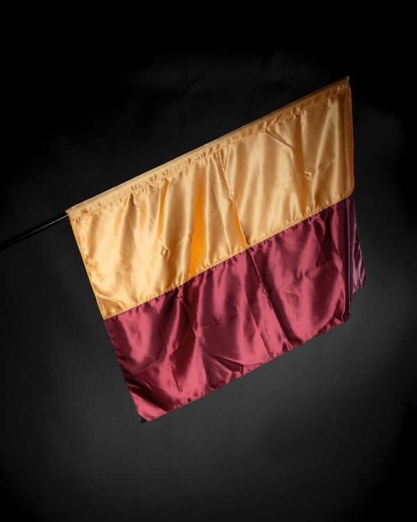 BANDIERA 70X100 - RASO